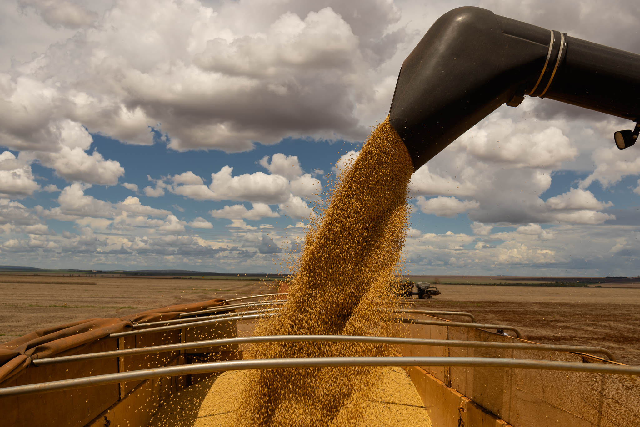 Desembolso do crédito rural em Mato Grosso reduziu 65% no atual Plano Safra