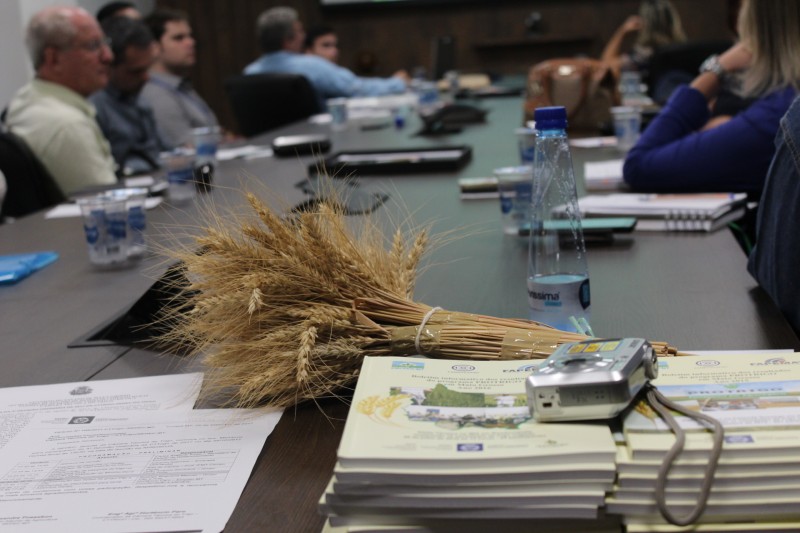 Produção de trigo já é realidade em Mato Grosso